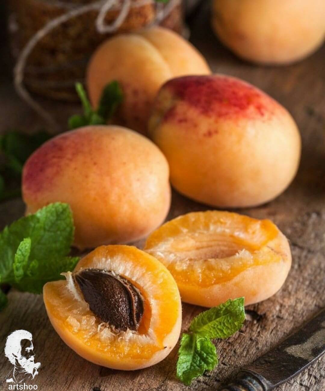 آموزش نقاشی رنگ روغن